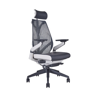 Bionisches Design Rückgratschutz Computer-Hausstuhl mit Mesh-Material und 4D-Armlehne
